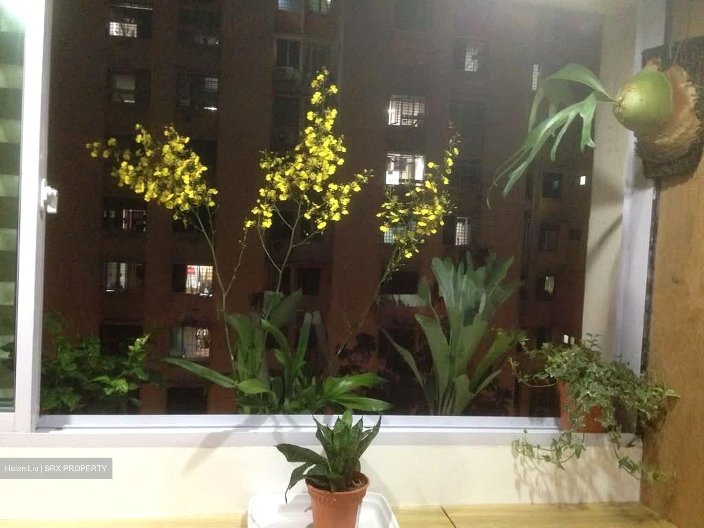 Blk 416 Sun Plaza View (Tampines), HDB 4 Rooms #562163611